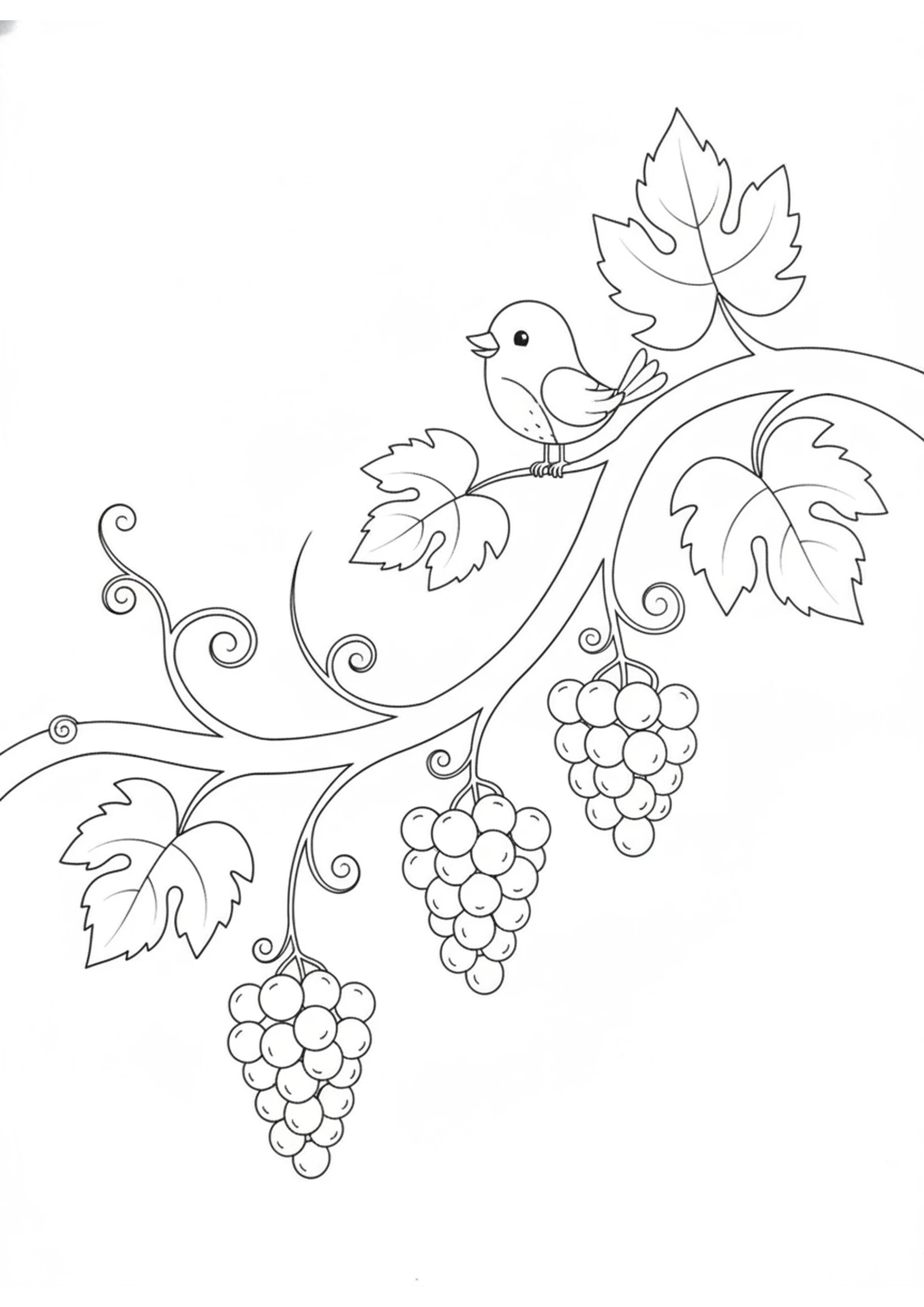A Branch Full of Grapes — printable Bible coloring page from The Vine and the Branches